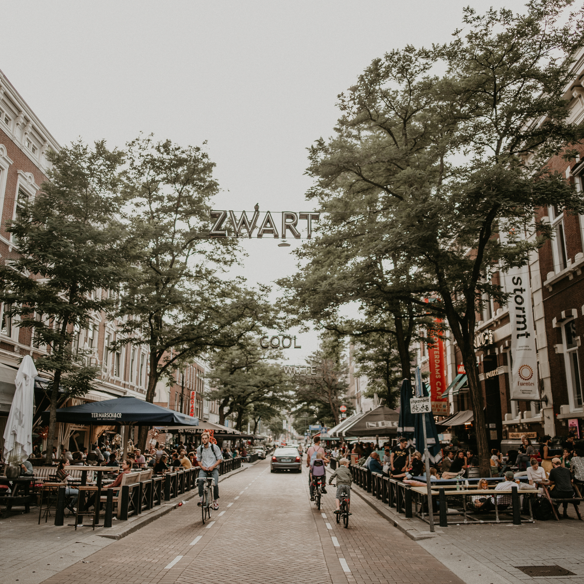 51-north-photography-297