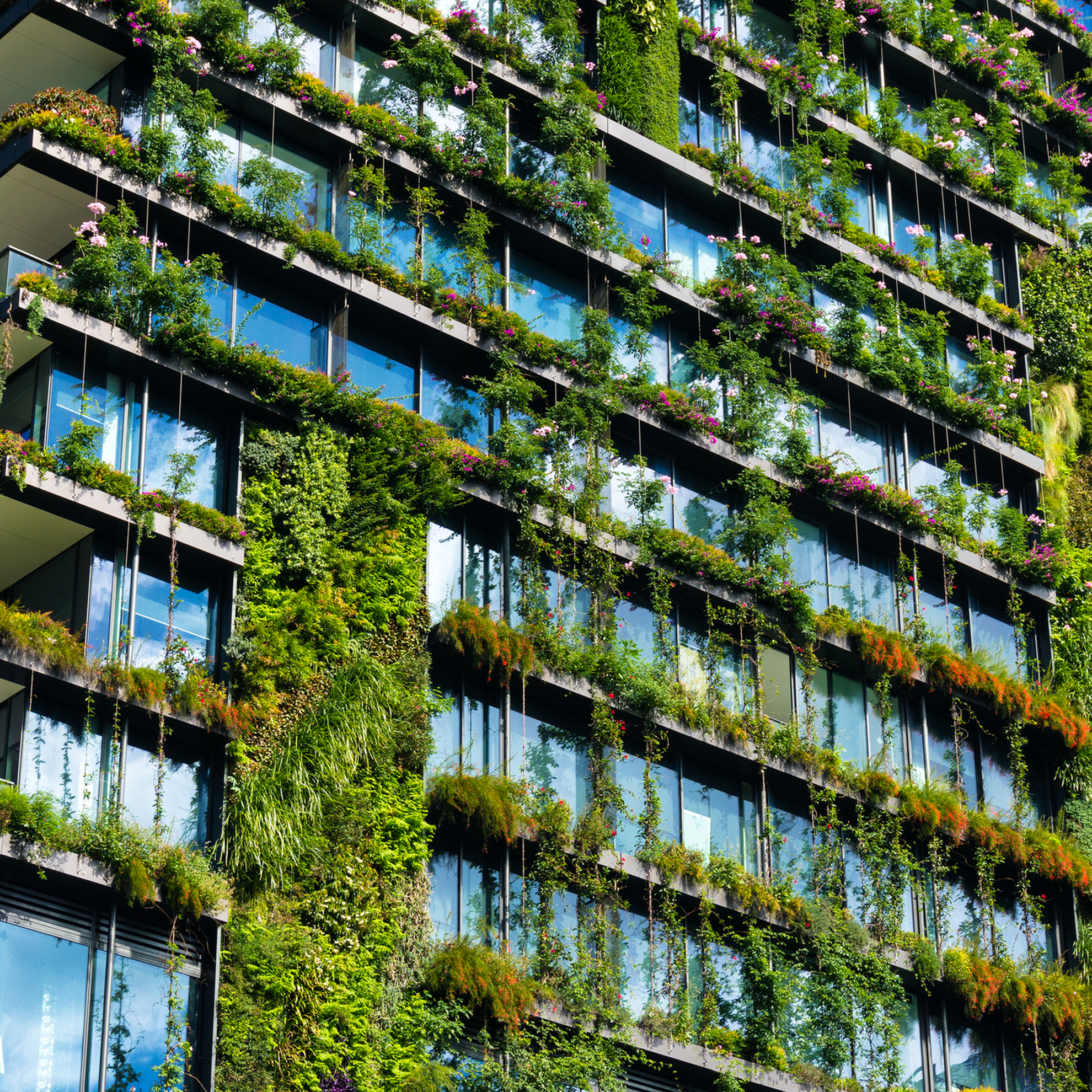 shutterstock_412333285